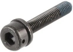 Shimano Befestigungsschrauben Für Scheibenbremsadapter Flat Mount Auf PM -Shimano Verkäufe 146661