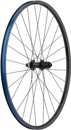 Shimano WH-RS171-CL Disc Center Lock 28" Laufradsatz -Shimano Verkäufe 283749