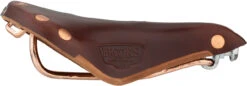BROOKS B17 Special Short Damen Sattel -Shimano Verkäufe 305616