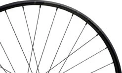 Tune Race 23 Boost Disc 6-Loch 29" Laufradsatz -Shimano Verkäufe 342174