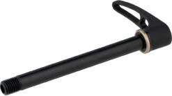 Dt-swiss RWS Road Steckachse Mit Schnellspannhebel 10 Dt-swiss RWS Road Steckachse Mit Schnellspannhebel -Shimano Verkäufe 348243