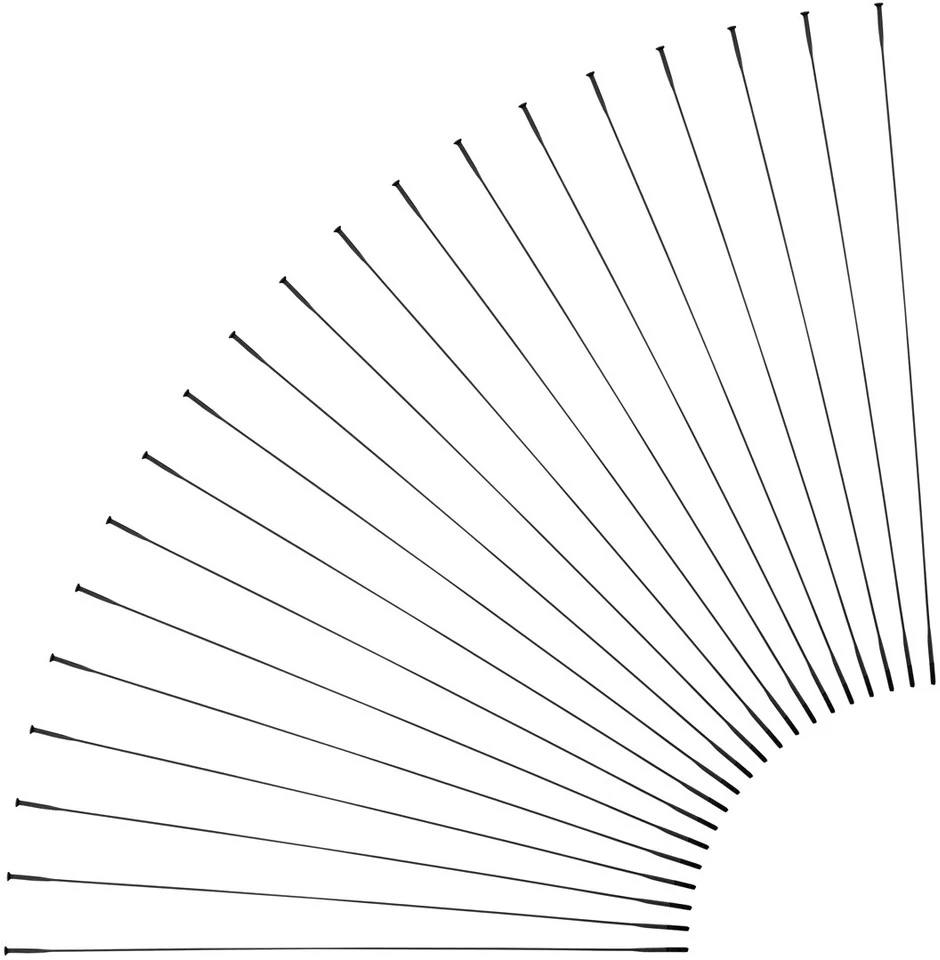 Sapim CX-Ray Straightpull Speichen + Nippel - 20 Stück 1 Sapim CX-Ray Straightpull Speichen + Nippel - 20 Stück