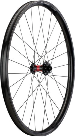 ED30 Disc 6-Loch Boost Carbon 29" Laufradsatz -Shimano Verkäufe 379512