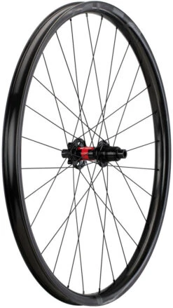 ED30 Disc 6-Loch Boost Carbon 29" Laufradsatz -Shimano Verkäufe 379520