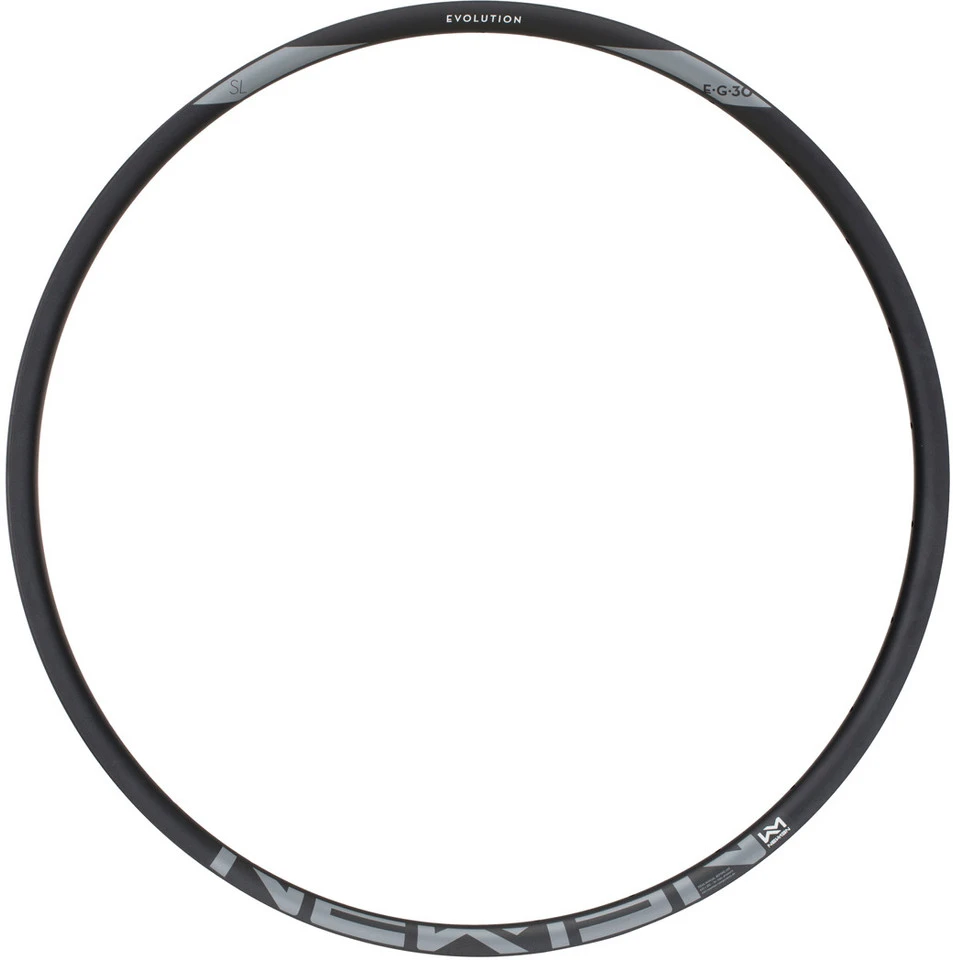 Newmen Evolution SL E.G.30 Disc 29" Felge 2 Newmen Evolution SL E.G.30 Disc 29" Felge – Bild 2