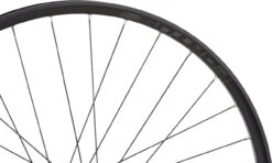 HOPE Pro 4 + Fortus 30 SC Disc 29" Boost Laufradsatz Mit Stahl-Freilauf 12 HOPE Pro 4 + Fortus 30 SC Disc 29" Boost Laufradsatz Mit Stahl-Freilauf -Shimano Verkäufe 458674