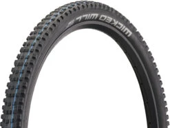 Schwalbe Wicked Will Evolution ADDIX SpeedGrip Super Ground 29" Faltreifen 12 Schwalbe Wicked Will Evolution ADDIX SpeedGrip Super Ground 29" Faltreifen -Shimano Verkäufe 474182