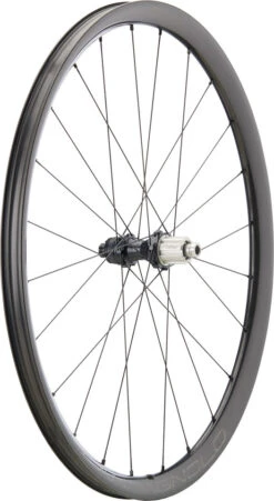 Campagnolo® Levante Carbon Disc Center Lock 28" Laufradsatz -Shimano Verkäufe 474469