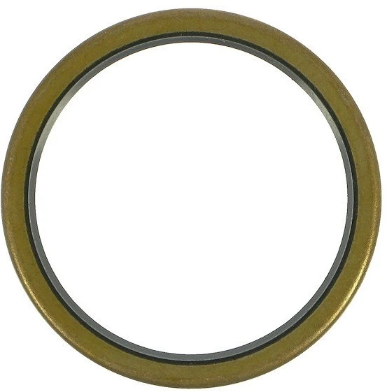 Dt-swiss Dichtung Nabe/Freilaufkörper HR-Nabe DT Ab 1998 1 Dt-swiss Dichtung Nabe/Freilaufkörper HR-Nabe DT Ab 1998