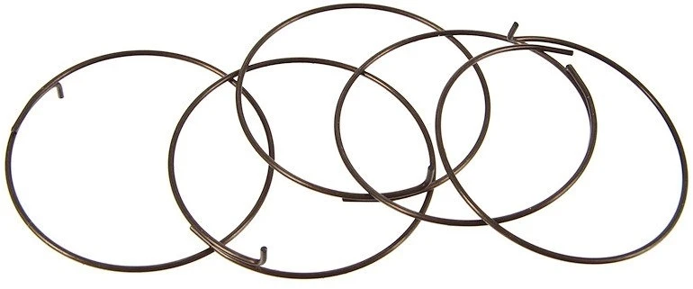 Fulcrum Sperrklinkenfedern 5-R1-015 Für RR Freilaufkörper 1 Fulcrum Sperrklinkenfedern 5-R1-015 Für RR Freilaufkörper